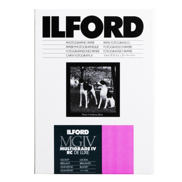 Ilford Multigrade V 1M RC DeLuxe glossy 30,5 x 40,6 cm 10 Blatt