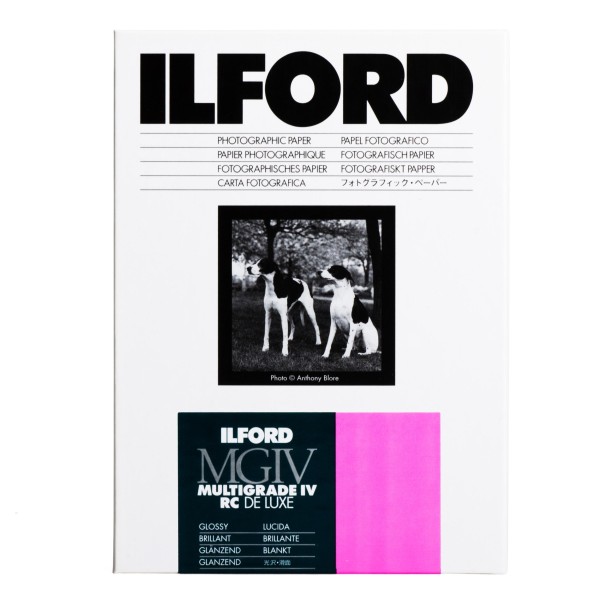 Ilford Multigrade IV 1M RC DeLuxe glossy 20,3 x 25,4 cm 100 Blatt